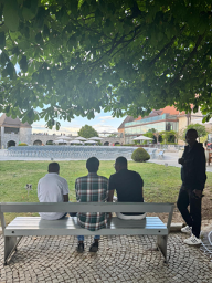 prizor na ljubljanskem gradu